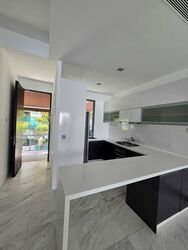 Radiance @ Bukit Timah (D21), Terrace #554020101
